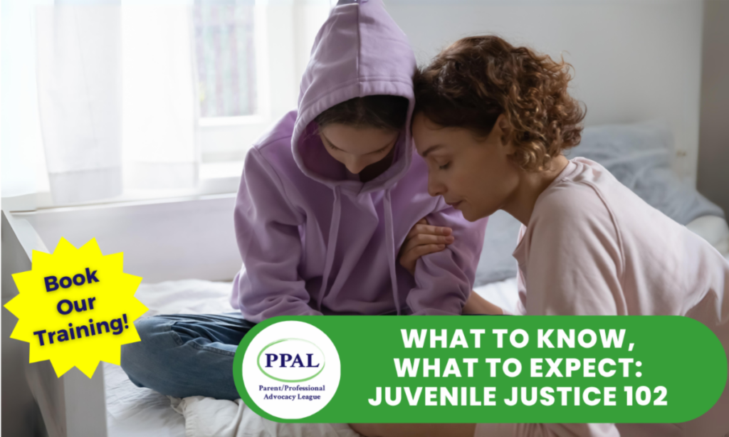 PPAL What to Know, What to Expect: Juvenile Justice 102 banner